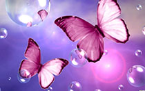 Милые розовые бабочки